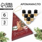 Аромамасла новогодние «Уютного года», набор 6 шт., 3 мл - Фото 1