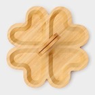 Менажница Доляна «Цветок», 19.5×19.5 см, 4 секции, бамбук - Фото 5