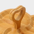 Менажница Доляна «Вертиго», 19.5×19.5 см, бамбук - Фото 6