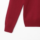 Джемпер мужской SL, 46, бордовый - фото 21389108