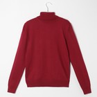 Джемпер мужской SL, 46, бордовый - фото 21389110