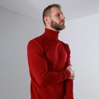 Джемпер мужской SL, 46, бордовый - фото 21389104