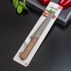 Нож для мяса и стейков Atlantik, лезвие 20 см, цвет коричневый - фото 54723835