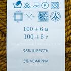 Пряжа "Зимний вариант" 95% имп.шерсть, 5% акрил объёмный 100м/100гр (32-Табак) - Фото 4