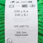 Пряжа "Народная традиция" 30% шерсть 70% акрил 100м/100гр (65-Экзотика) - Фото 4