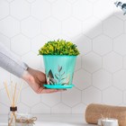 Горшок для цветов Доляна «Тропический лес», 800 мл, цвет зелёный - Фото 5