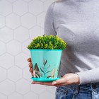 Горшок для цветов Доляна «Тропический лес», 800 мл, цвет зелёный - Фото 6