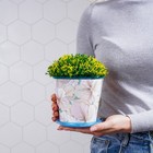 Горшок для цветов Доляна «Жарден», 0.8 л, цвет голубой - Фото 6