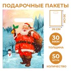 Набор пакетов "Звуки праздника", с вырубной ручкой по 50 шт, 20х30 см, 30 мкм 7423193 - фото 10948436