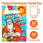 Набор пакетов  "Брутальный санта", с вырубной ручкой по 50 шт, 20х30 см, 30 мкм - фото 10948437