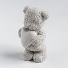Молд силиконовый "Мишка с игрушкой" 4,5х4х7,5 см МИКС - фото 6486553