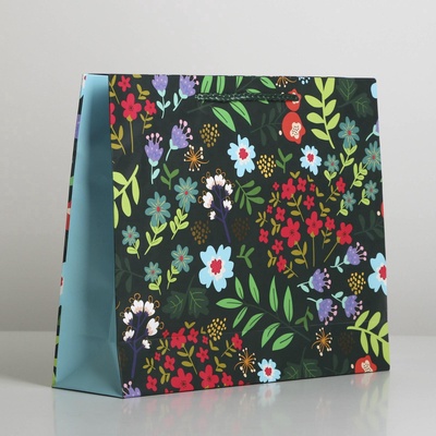 Пакет подарочный ламинированный, упаковка, Present for you, ML 25×21×8 см