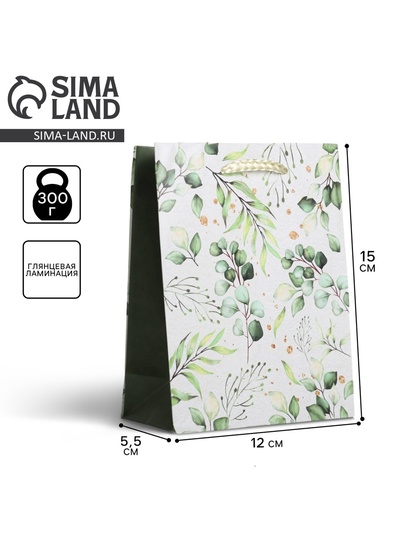 Пакет подарочный ламинированный, упаковка, Present for you, S 12×15×5.5 см