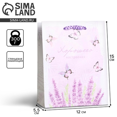 Пакет подарочный ламинированный, упаковка, Special for you, S 12×15×5.5 см