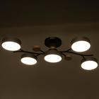 Люстра 1316/5GR LED 120Вт 3000-6000К серый 55х73х15 см - Фото 3