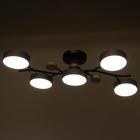 Люстра 1316/5GR LED 120Вт 3000-6000К серый 55х73х15 см - Фото 4