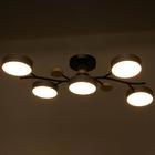 Люстра 1316/5GR LED 120Вт 3000-6000К серый 55х73х15 см - Фото 5