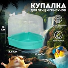 Бирюзовый
