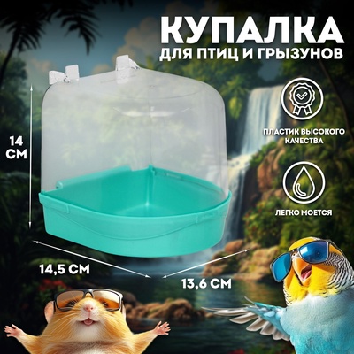 Купалка для птиц, 145×136×140, светло-зелёный перламутр