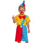 Карнавальный костюм «Клоун Чудик», рубаха, бриджи, колпак, нос, рост 122 см - фото 11846839