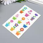 Татуировка на тело цветная "Цветы в горшках" 12х7,5 см - фото 24635783