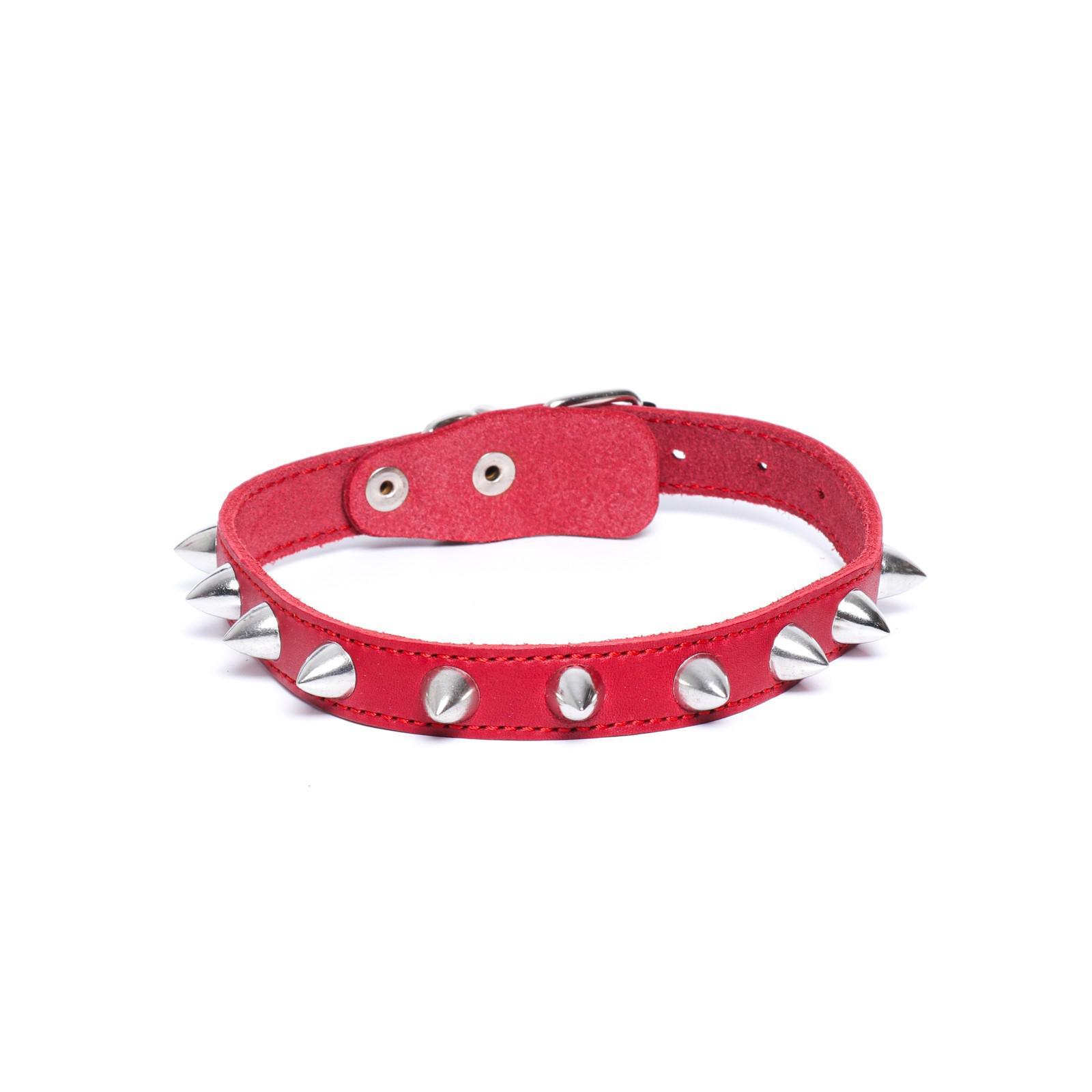 Купить Ошейник С Шипами Для Собаки