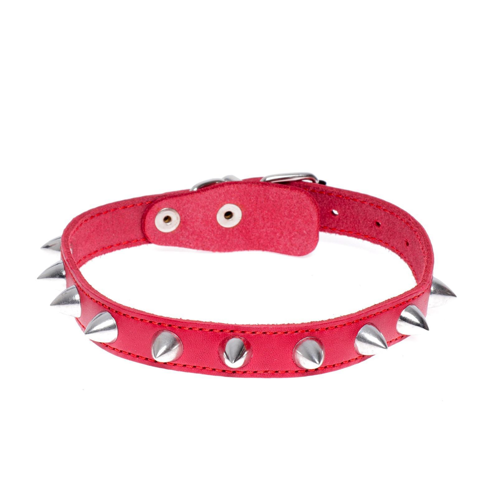 Купить Ошейник С Шипами Для Собаки