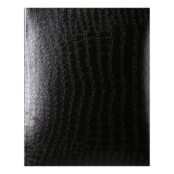 Тетрадь 48 листов в клетку Croco, бумвинил metallic, тиснение, блок офсет, чёрный - Фото 1