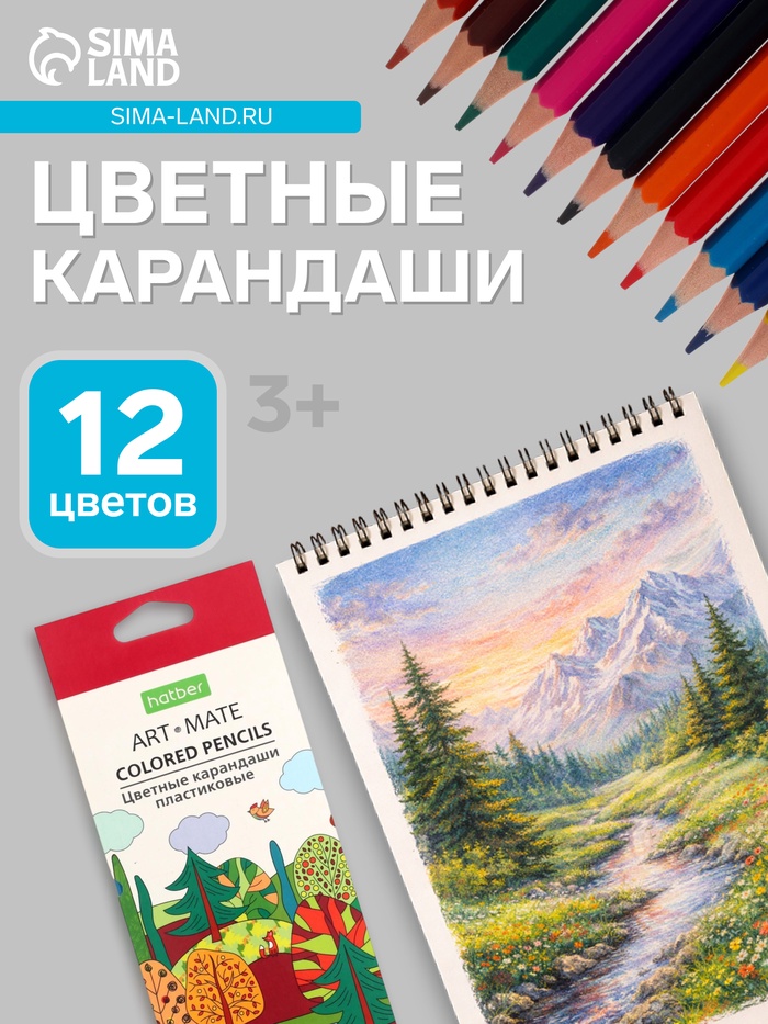Карандаши цветные 12 цветов Hatber Mate пластиковые, с европодвесом - Фото 1