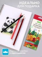 Карандаши цветные 12 цветов Hatber Mate пластиковые, с европодвесом - Фото 2