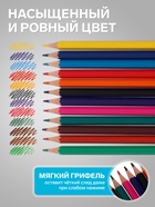 Карандаши цветные 12 цветов Hatber Mate пластиковые, с европодвесом - Фото 3