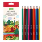 Карандаши цветные 12 цветов Hatber Mate пластиковые, с европодвесом - Фото 4