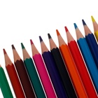 Карандаши цветные 12 цветов Hatber Mate пластиковые, с европодвесом - Фото 6