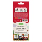 Карандаши цветные 12 цветов Hatber Mate пластиковые, с европодвесом - Фото 7