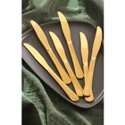 Ножи столовые Доляна «Голд», длина 23,5 см, 6 шт, цвет золотой - фото 9432714