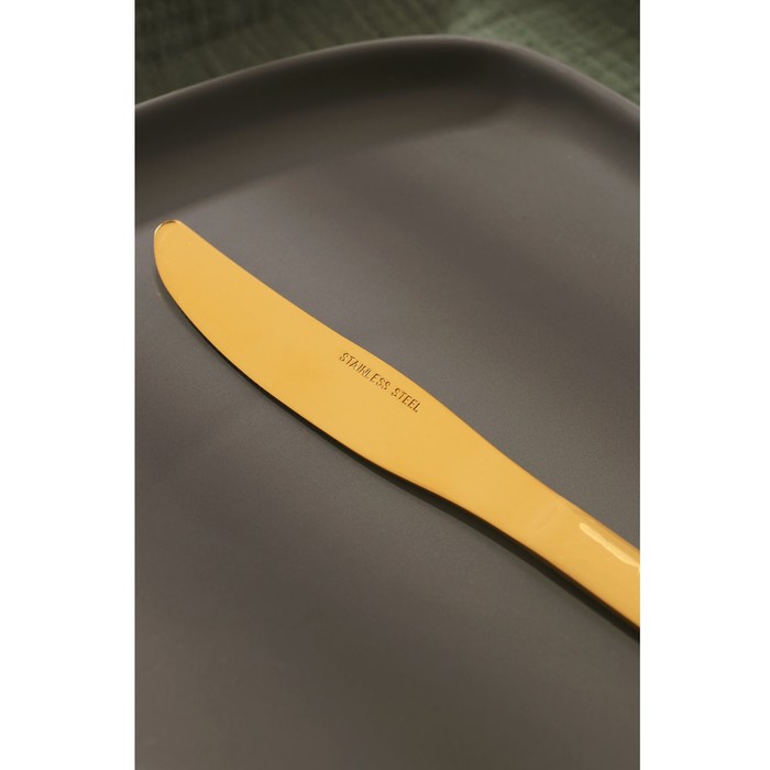 Ножи столовые Доляна «Голд», длина 23,5 см, 6 шт, цвет золотой - фото 1892627879