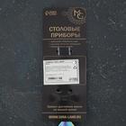 Ложка десертная из нержавеющей стали Magistro «Нота», длина 15 см, цвет хамелеон - Фото 4