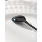 Ложка десертная из нержавеющей стали Magistro «Нота», длина 15 см, цвет чёрный - Фото 5