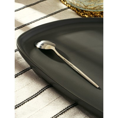 Ложка чайная Magistro «Блинк», длина 14.5 см, нержавеющая сталь, серебристая