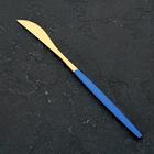 Нож столовый из нержавеющей стали Magistro «Блинк», длина 22 см, на подвесе, цвет золотой, синяя ручка - фото 9432803