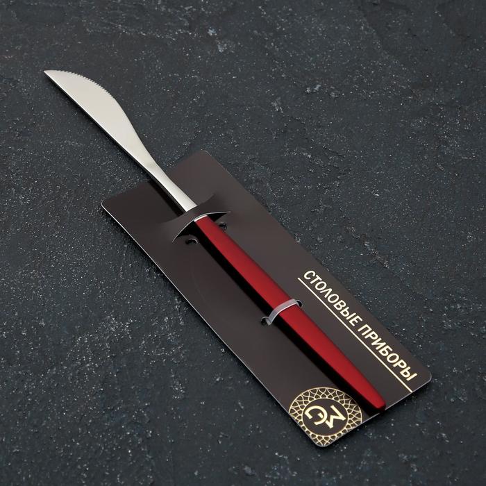 Нож столовый из нержавеющей стали Magistro «Блинк», длина 22 см, на подвесе, цвет серебряный, красная ручка - фото 1908775487