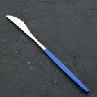 Нож столовый из нержавеющей стали Magistro «Блинк», длина 22 см, на подвесе, цвет серебряный, синяя ручка - фото 4618398