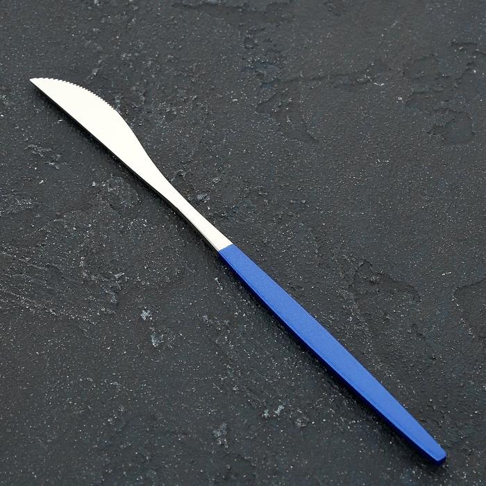 Нож столовый из нержавеющей стали Magistro «Блинк», длина 22 см, на подвесе, цвет серебряный, синяя ручка - Фото 1