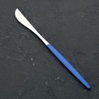 Нож столовый из нержавеющей стали Magistro «Блинк», длина 22 см, на подвесе, цвет серебряный, синяя ручка - фото 4618399