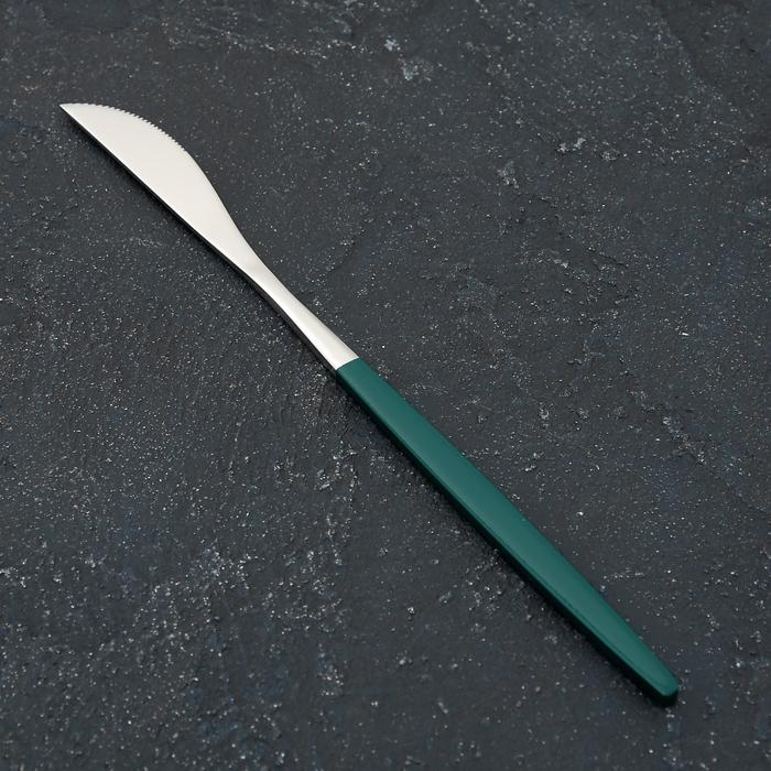 Нож столовый из нержавеющей стали Magistro «Блинк», длина 22 см, на подвесе, цвет серебряный, зелёная ручка - Фото 1