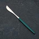 Нож столовый из нержавеющей стали Magistro «Блинк», длина 22 см, на подвесе, цвет серебряный, зелёная ручка - Фото 2