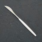 Нож столовый из нержавеющей стали Magistro «Блинк», 22 см, на подвесе, цвет серебряный, белая ручка - фото 318683684