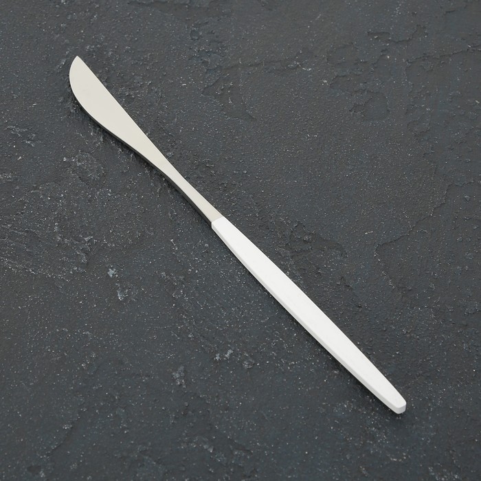 Нож столовый из нержавеющей стали Magistro «Блинк», 22 см, на подвесе, цвет серебряный, белая ручка - фото 1908775501