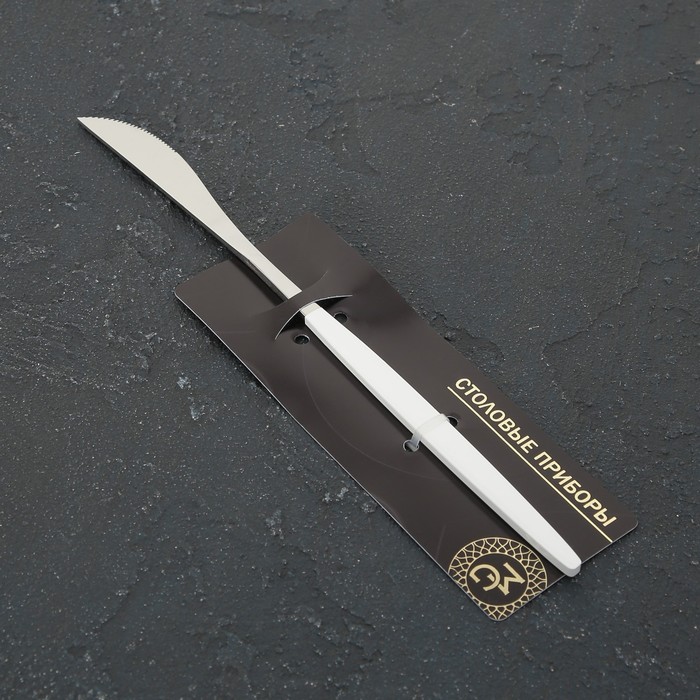 Нож столовый из нержавеющей стали Magistro «Блинк», 22 см, на подвесе, цвет серебряный, белая ручка - фото 1927774642
