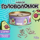 Головоломки металлические «В чём сила?», набор 2 шт., в банке - Фото 1